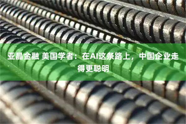 亚晶金融 美国学者：在AI这条路上，中国企业走得更聪明