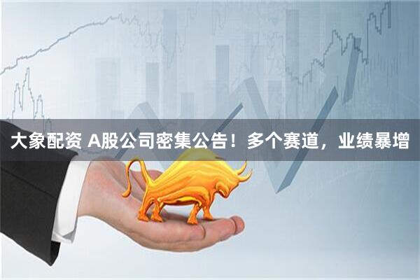 大象配资 A股公司密集公告！多个赛道，业绩暴增
