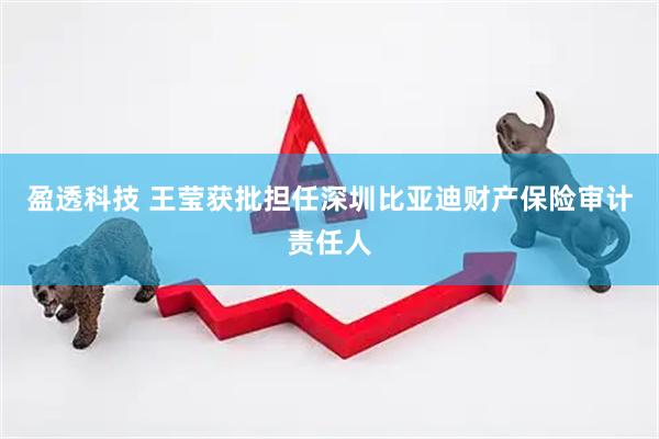 盈透科技 王莹获批担任深圳比亚迪财产保险审计责任人