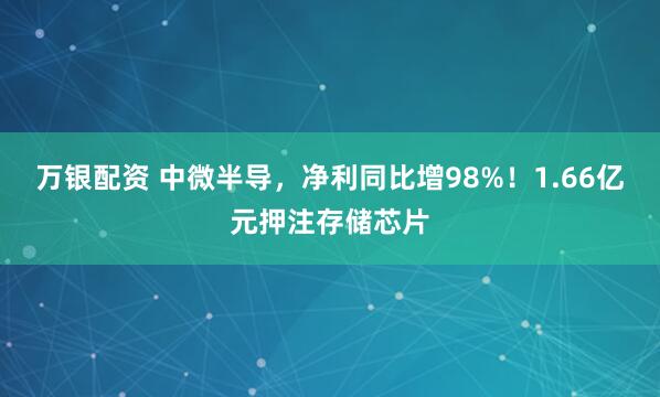 万银配资 中微半导，净利同比增98%！1.66亿元押注存储芯片